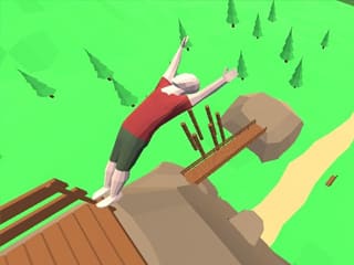 Crazy Flips 3D