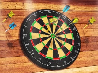 Darts Pro