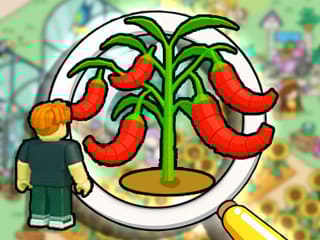 Find It Out Grow A Garden