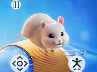 Hammer Playground Maze