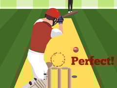 Pro Cricket Champion