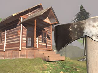 Surviving In The Woods